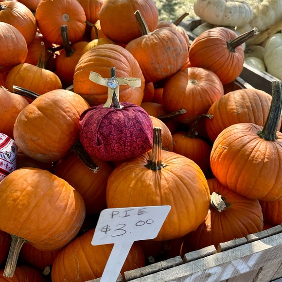 Pumpkin Decor - Picture 7 of 12
